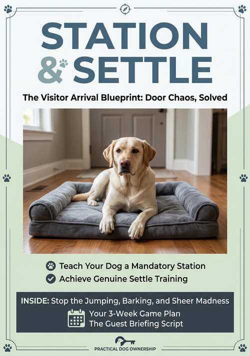 Station & Settle: The Visitor Arrival Blueprint